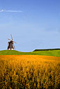 Moulin a vent et champs cultivés de céréales - Toute utilisation et droit réservés par © Photothèque Ducatez