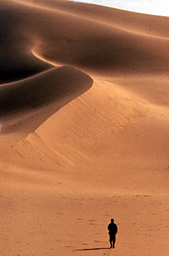 Homme sur une dune