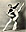 Danse americaine - Danseurs c.1945 - Toute utilisation et droit r&eacute;serv&eacute;s par &copy; Phototh&egrave;que Ducatez